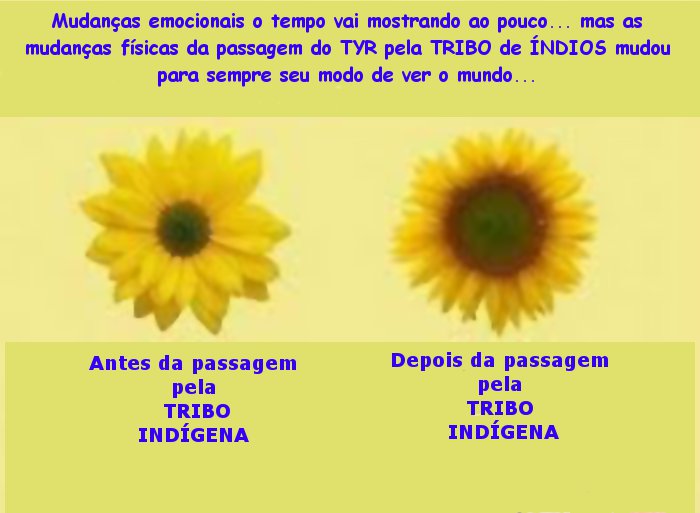 Tyr indio.jpg Tyr indio.jpg